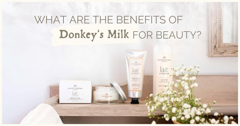 What are the Benefits of Donkey's Milk for Beauty?