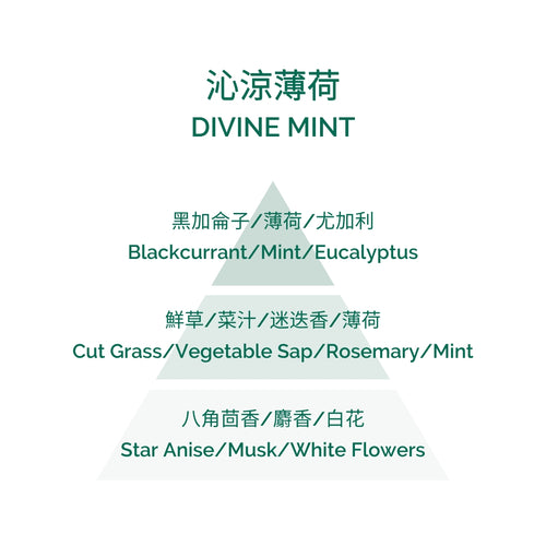 Fragrance Mystery Box - Divine Mint