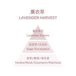 Perfumed Candle - Lavender Harvest 180g
