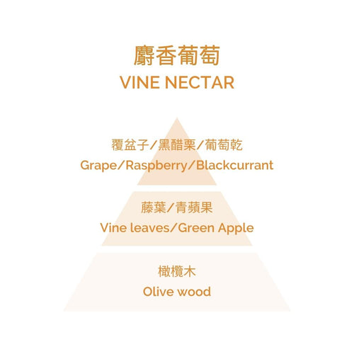 Home Perfume - Vine Nectar 100ml