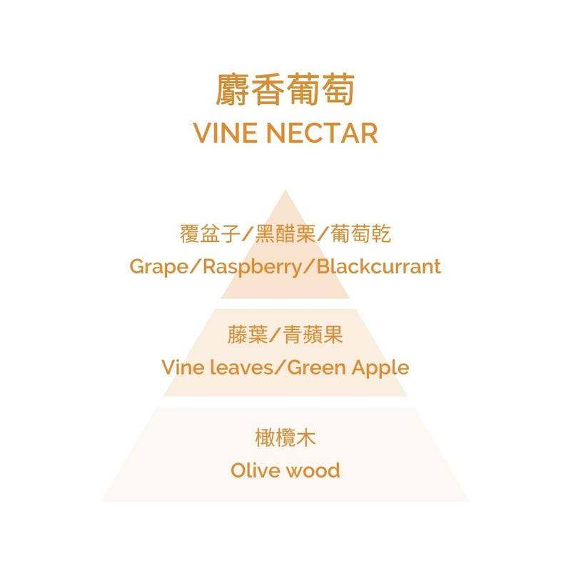 Fragrance Diffuser - Vine Nectar 100ml