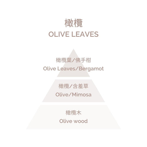 Home Perfume - Olive Leaves 100ml