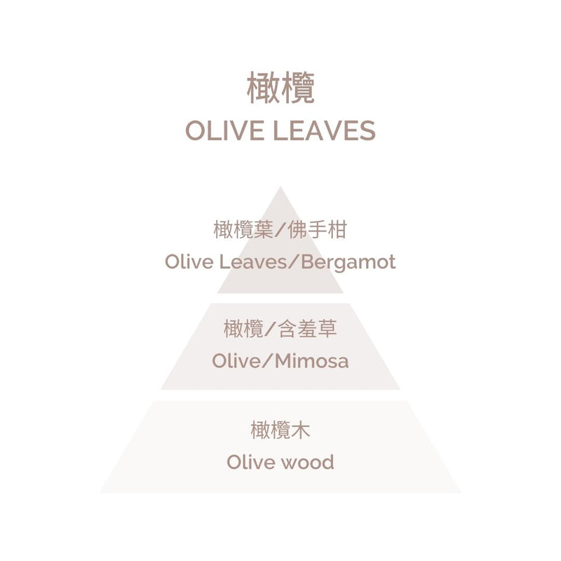 Perfume for Fragrance Diffuser - Olive Leaves 200ml