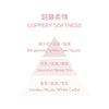 Fragrance Diffuser - Coppery Softness 100ml