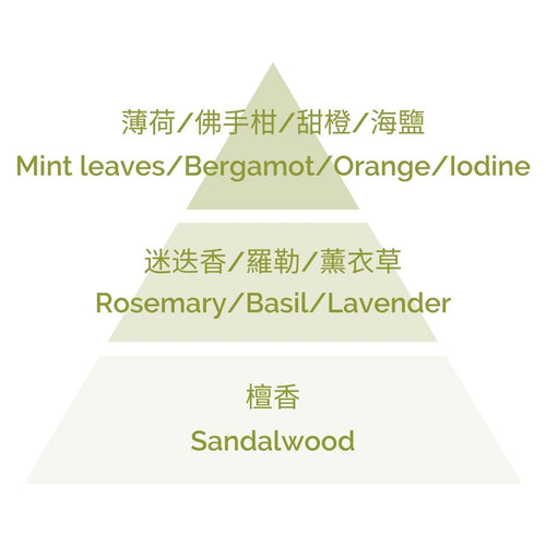 Home Perfume -  Indian Summer 100ml