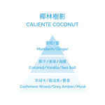 Perfumed Candle - Coconut Caliente 180g