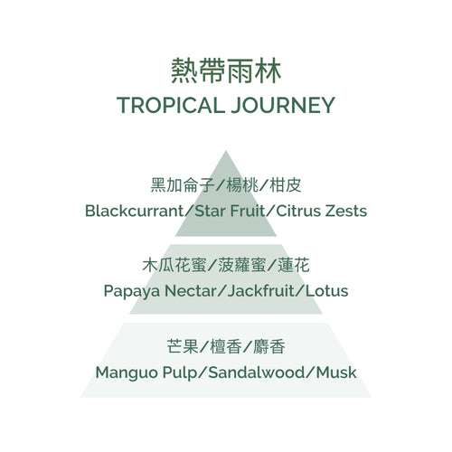 Fragrance Diffuser - Tropical Journey 100ml