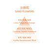 Perfume for Fragrance Diffuser - Sand Flowers 200ml