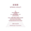 Perfumed Candle - Spring Violet 180g