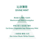 Perfumed Candle - Divine Mint 180g