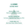 Perfume for Fragrance Diffuser - Divine Mint 200ml