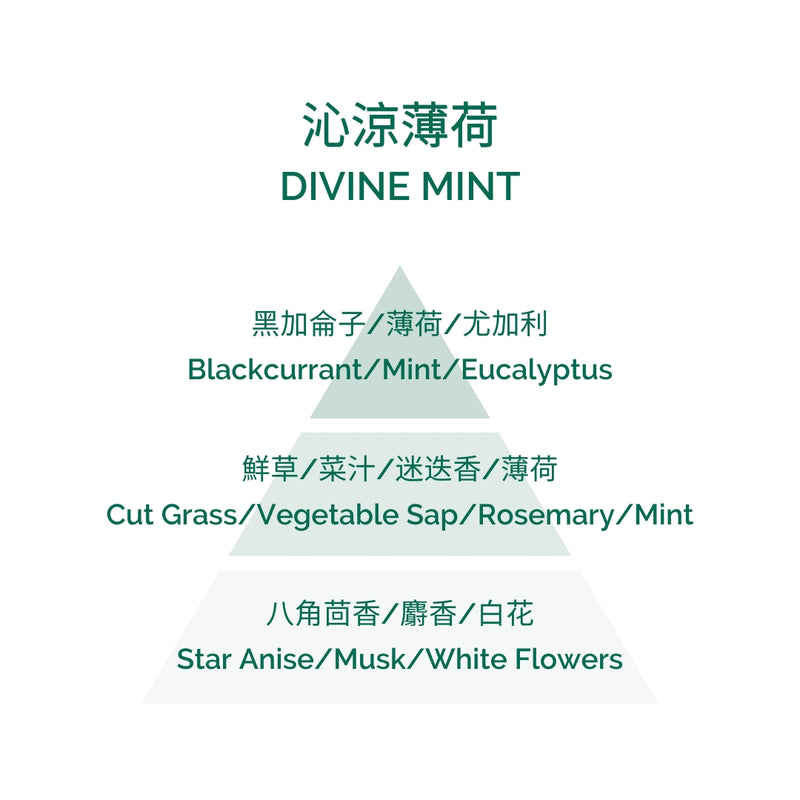 家居香薰補充裝  - Divine Mint 200ml