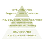 Perfume for Fragrance Diffuser - Green Tea 200ml