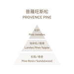 Fragrance Diffuser - Provence Pine 100ml