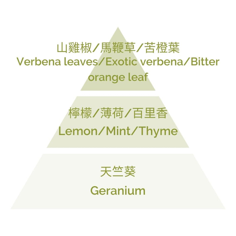 Fragrance Diffuser - Fresh Verbena 100ml