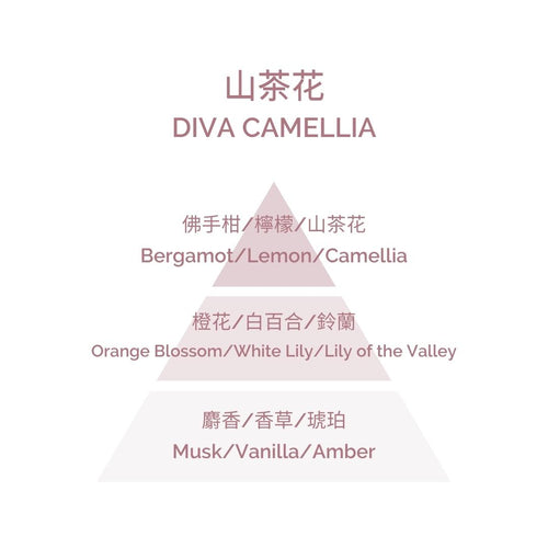 Perfume for Fragrance Diffuser - Diva Camellia 200ml