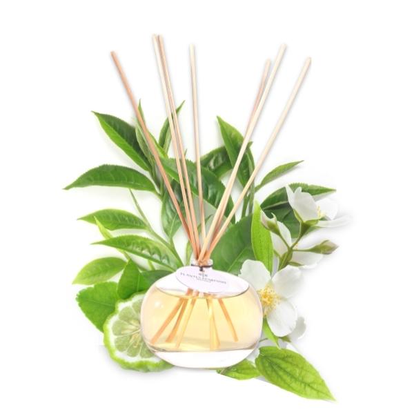 Fragrance Diffuser - Green Tea 100ml