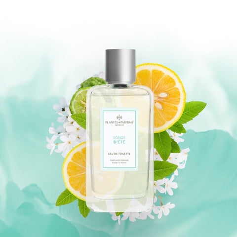 香水(女性用) Perfume dessert 100ml summer 50ml dreamy P098220_EDT_Summer_Dream_Artwo