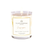 Perfumed Candle - Cassiopee 180g