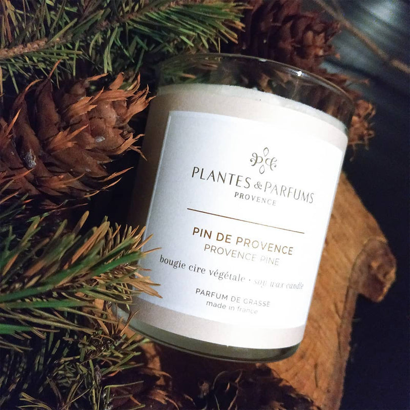 Perfumed Candle - Provence Pine 180g